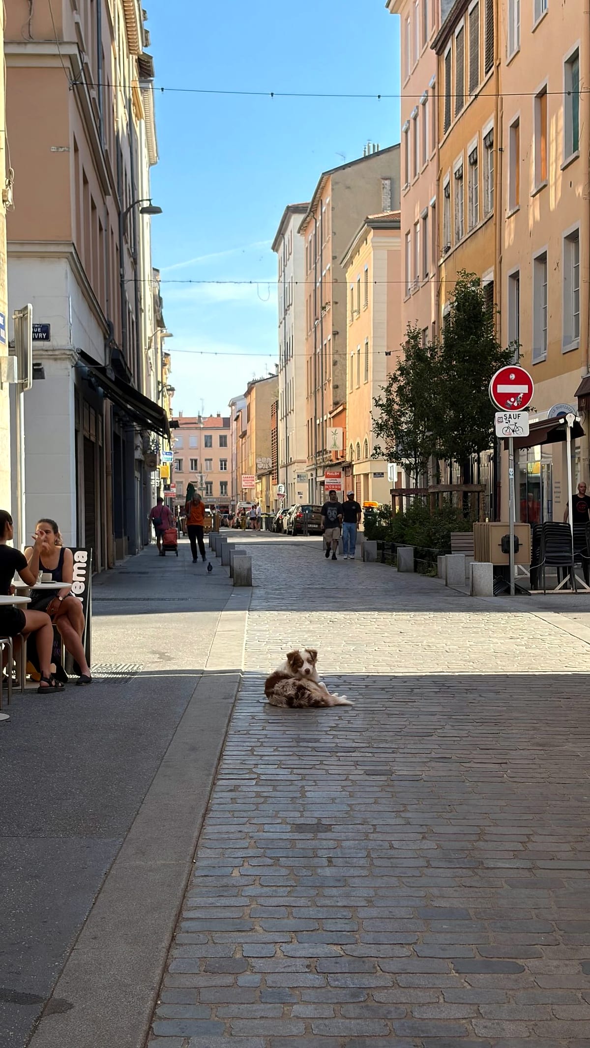 La rue du Mail piétonne, les terrasses d'un côté, Happy assise au milieu du pavé.